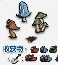 饑荒可采集物一覽 饑荒可采集物種植方法詳解