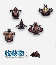 饑荒可采集物一覽 饑荒可采集物種植方法詳解