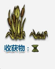 饑荒可采集物一覽 饑荒可采集物種植方法詳解