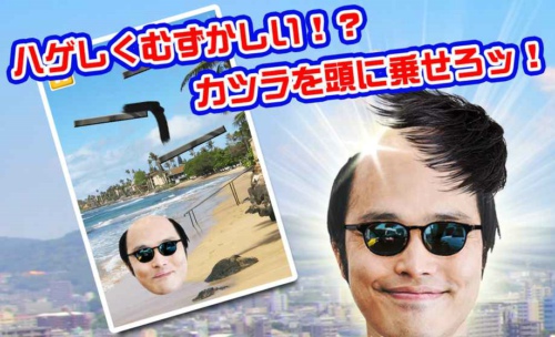 假發(fā)假發(fā)3