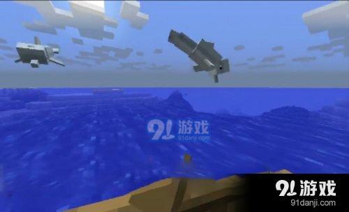 我的世界海豚吃什么 我的世界海豚怎么養(yǎng)