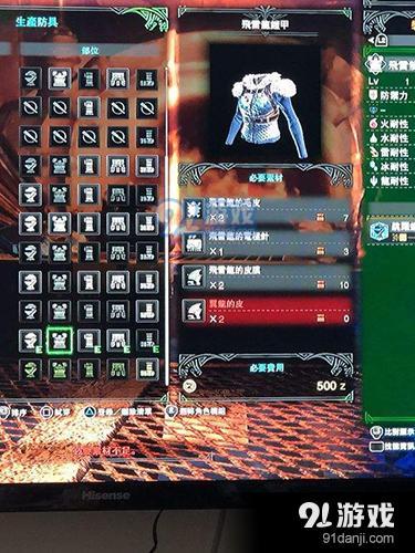 怪物獵人世界翼龍皮