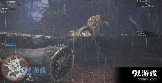 怪物獵人世界大兇豺龍位置打法及掉落素材介紹