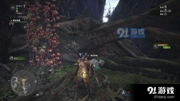 怪物獵人世界地圖壁畫在哪 怪物獵人世界地圖壁畫位置介紹