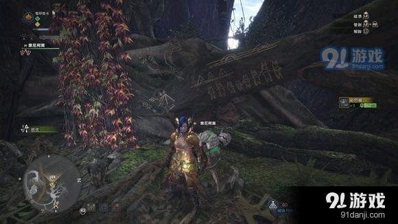怪物獵人世界地圖壁畫在哪 怪物獵人世界地圖壁畫位置介紹