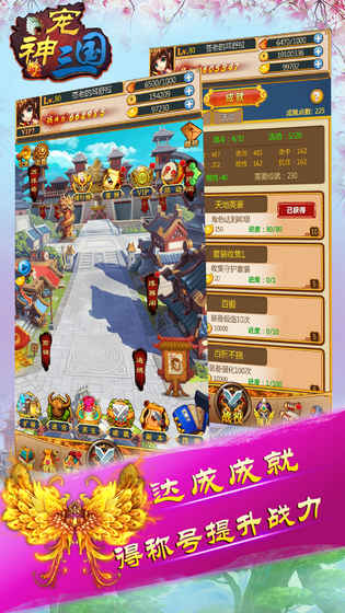 神寵三國5