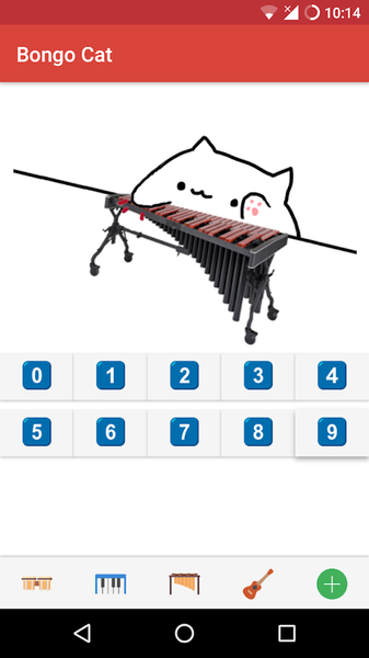 Bongo Cat1