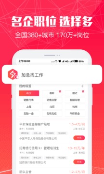 51米多多1