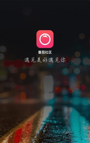 番茄交友4