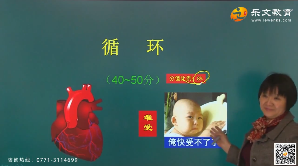 樂文醫(yī)考4