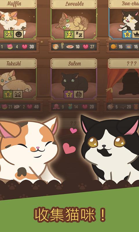 Cat Cafe3