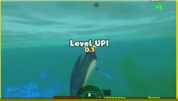 Feed The Fish1