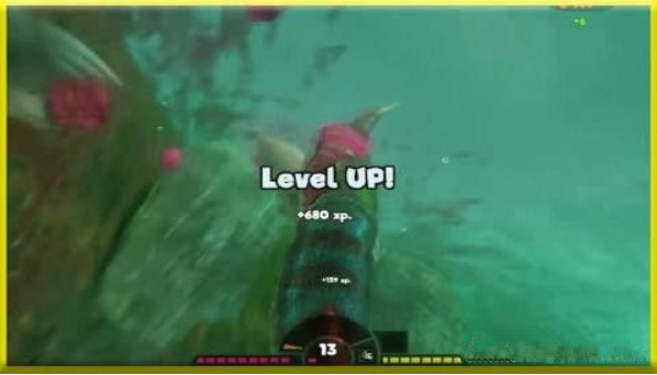 Feed The Fish3