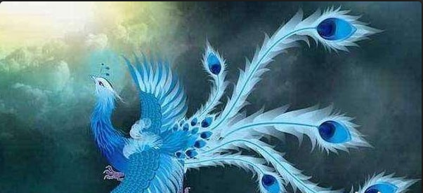 山海經(jīng)捕獸前傳1