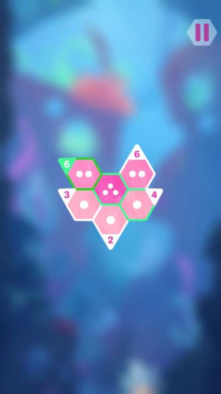 六邊形數(shù)獨(dú)4