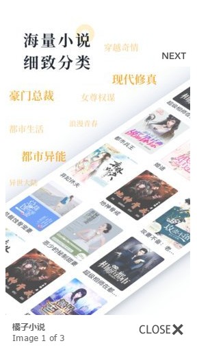 橘子小說2