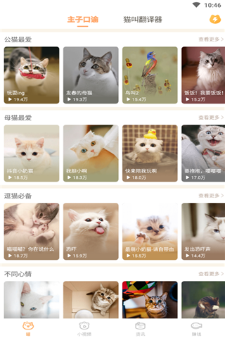 逗貓咪2