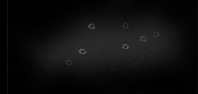 釜中游魚(yú)3