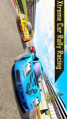 拉力賽車駕駛2