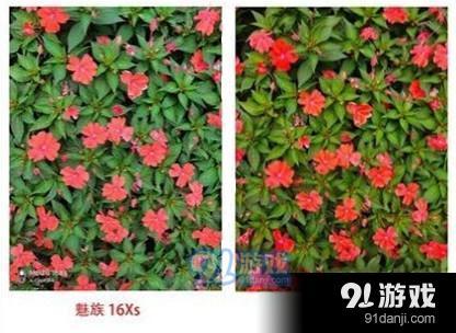 realme x和魅族16xs區(qū)別對比實用評測_52z.com