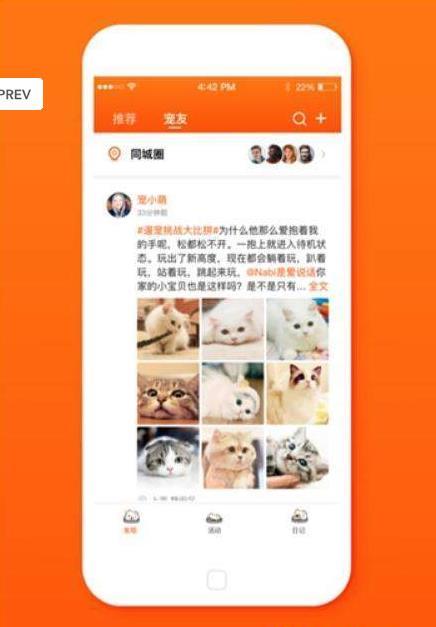 頑萌2