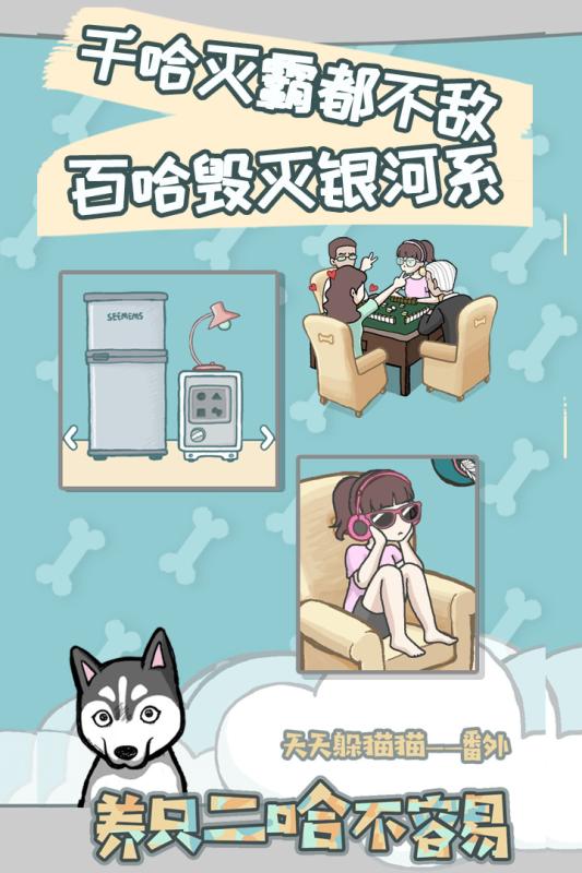 養(yǎng)只二哈不容易2