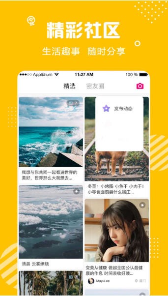 蜜熊3
