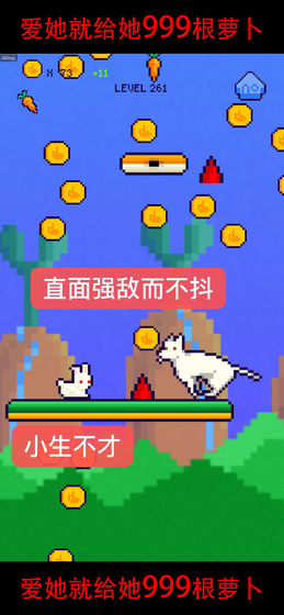 恩愛兔999根蘿卜2