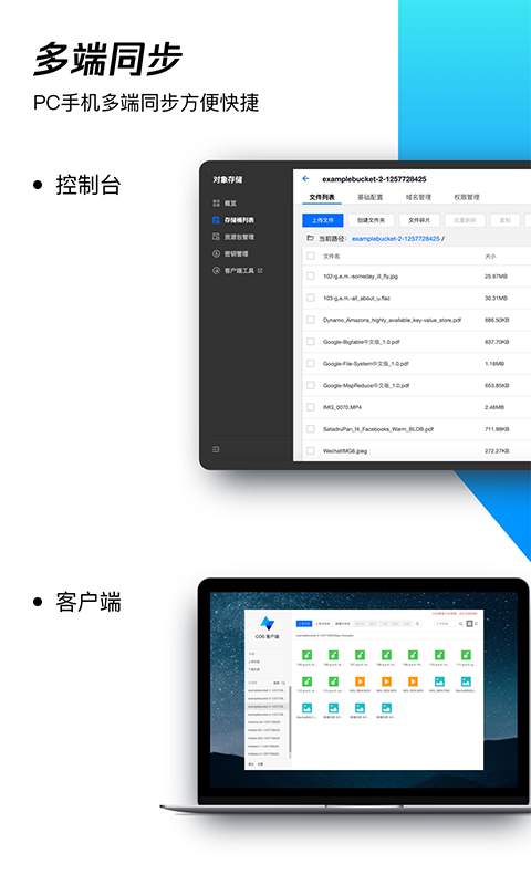 COSBrowser1