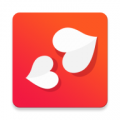 shell32.dll 