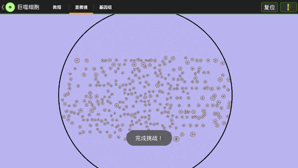 細(xì)胞實(shí)驗(yàn)室3