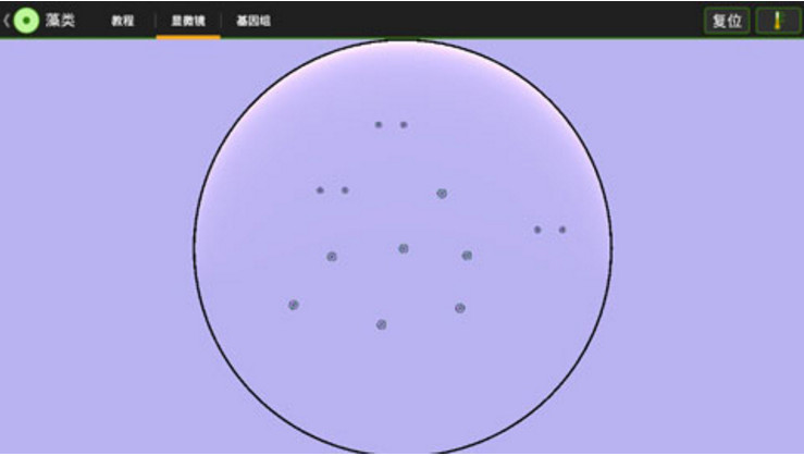 細(xì)胞實(shí)驗(yàn)室5