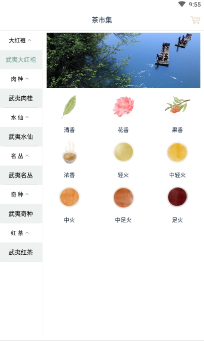 茶知了 1