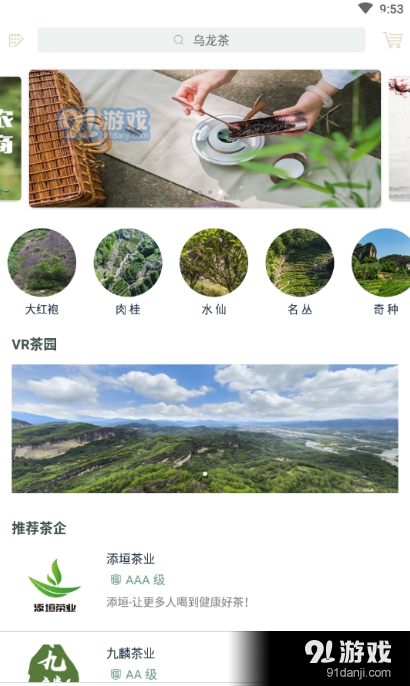 茶知了