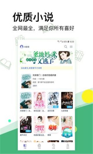 內(nèi)涵小說 1