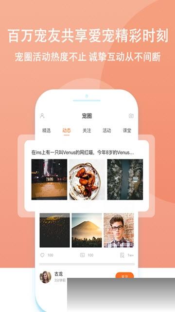 天天擼寵2