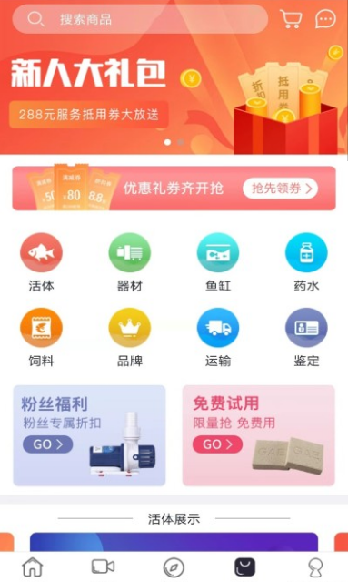 魚生4