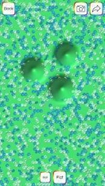 虛擬粘液2