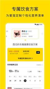 小絨寵物1