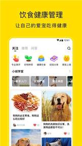 小絨寵物2