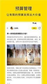 小絨寵物3