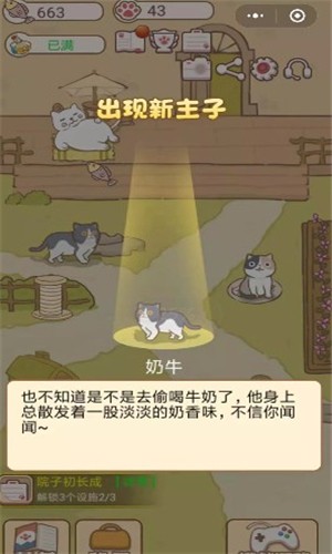 不是鏟屎官4