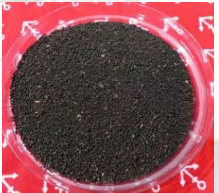 《食之契約》潑辣少女赤水蟲茶即將登場