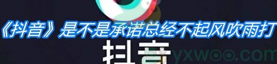 抖音是不是承諾總經(jīng)不起風吹雨打是什么歌