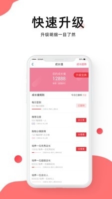 叮叮集市4