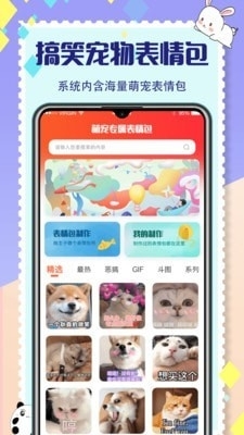 貓咪交流