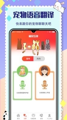貓咪交流2