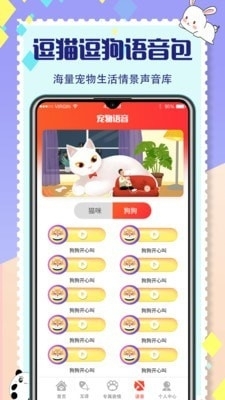 貓咪交流4