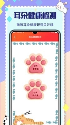 貓咪交流5