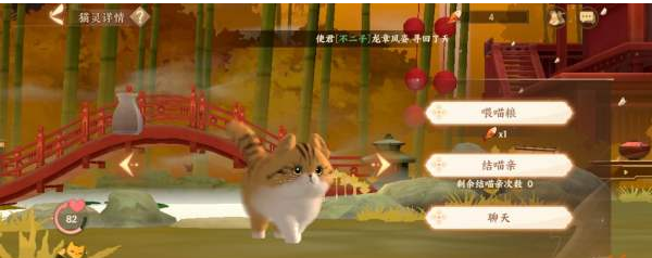 貓靈詳情